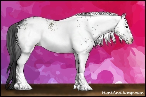 Horse Color:White Spotted Black 