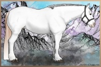 Horse Color:Chestnut Blanket Rabicano