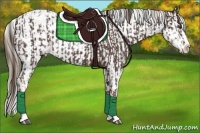 Horse Color:Liver Chestnut Sabino Splash Appaloosa and Chocolate Palomino Sabino Splash Appaloosa