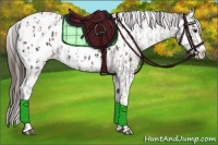 Horse Color:Liver Chestnut Sabino Splash Appaloosa and Liver Chestnut Sabino Splash Appaloosa Rabicano