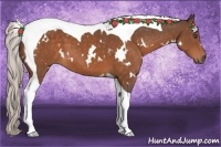 Horse Color:White Spotted Silver Brown Tobiano