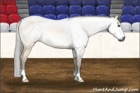 Horse Color:Gray Buckskin Roan 