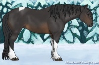 Horse Color:Buckskin Tobiano 