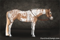 Horse Color:Chestnut Splash Frame and Chestnut Splash Tobiano Frame