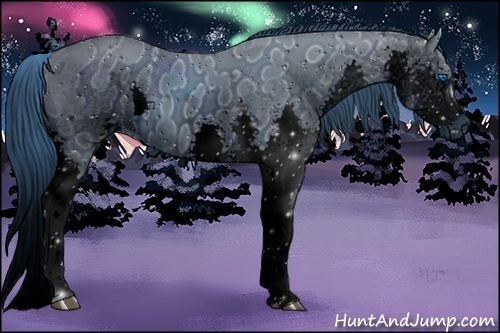 Horse Color:ERROR: UNKNOWN ANOMALY