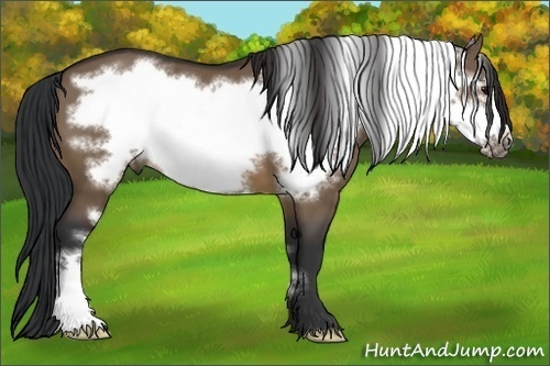 Horse Color:Brown Dun Frame