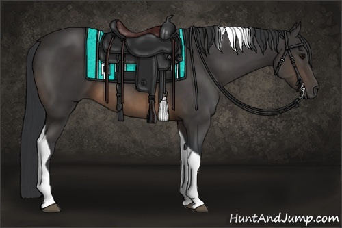 Horse Color:Buckskin Tobiano 