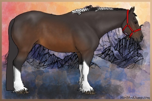 Horse Color:Buckskin Tobiano