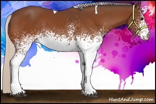 Horse Color:White Spotted Silver Bay Tobiano