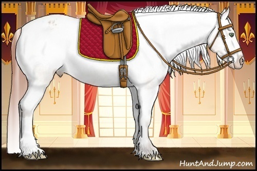 Horse Color:Amber Champagne Dun Varnish