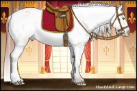 Horse Color:Amber Champagne Dun Varnish
