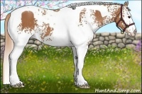 Horse Color:White Spotted Chestnut Tobiano