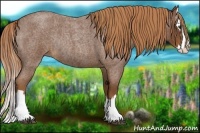 Horse Color:Red Roan Splash Rabicano