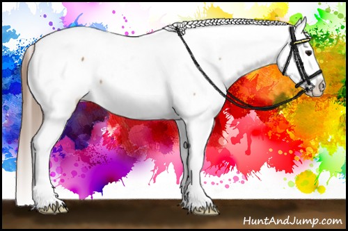 Horse Color:Bay Tobiano Snowcap