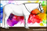 Horse Color:Bay Tobiano Snowcap