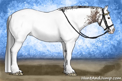 Horse Color:White Spotted Bay Ice 