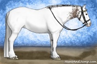 Horse Color:White Spotted Bay Ice