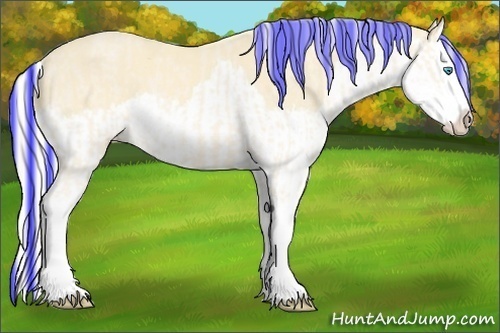 Horse Color:Painted Cremello Splash and Painted Cremello Splash