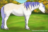 Horse Color:Painted Cremello Splash and Painted Cremello Splash