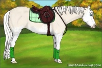 Horse Color:Cremello Splash  and Cremello Splash 