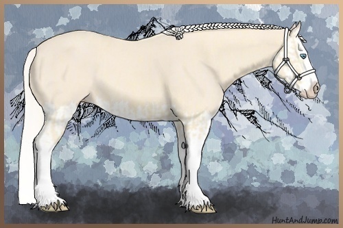 Horse Color:Cremello Splash  and Cremello Splash 