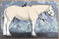 Horse Color:Cremello Splash  and Cremello Splash 