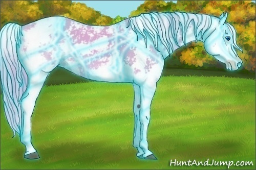 Horse Color:Thunderstruck Watercolor Chestnut Sabino Splash 