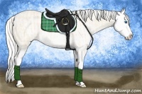 Horse Color:Cremello Splash  and Cremello Splash 