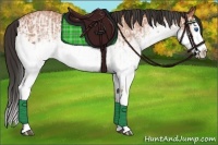 Horse Color:White Spotted Bay Splash  and White Spotted Bay Splash 