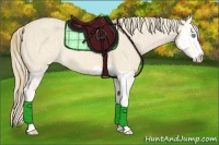 Horse Color:Cremello Splash  and Perlino Splash 