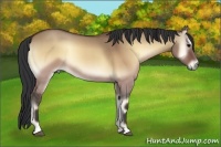 Horse Color:Brown Roan Onyx 