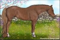 Horse Color:Chestnut  and Chestnut 