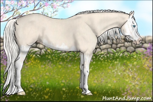 Horse Color:Cremello Splash  and Cremello Splash 