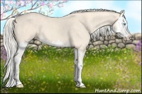 Horse Color:Cremello Splash  and Cremello Splash 