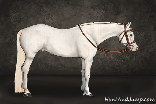 Horse Color:Buckskin Roan Pearl  and Perlino Roan 