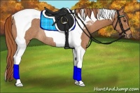 Horse Color:Chestnut Tobiano Rabicano 