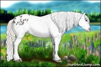 Horse Color:Silver Blue Roan Splash Appaloosa 