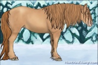 Horse Color:Gold Champagne
