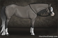 Horse Color:Grullo Splash 