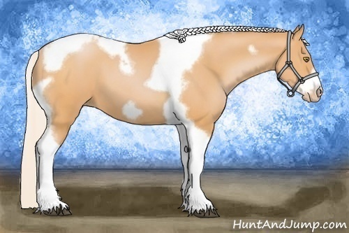 Horse Color:Silver Bay Pearl Tobiano Frame 