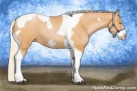 Horse Color:Silver Bay Pearl Tobiano Frame 