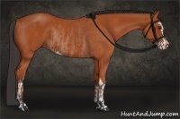 Horse Color:Bay Sabino Rabicano and Bay Sabino Rabicano