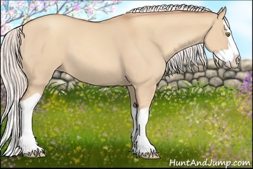 Horse Color:Silver Classic Champagne Dun Splash 