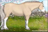 Horse Color:Silver Classic Champagne Dun Splash
