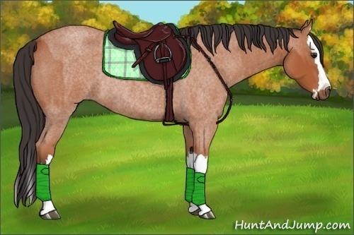 Horse Color:Bay Roan Sabino Rabicano  and Bay Roan Sabino Splash Rabicano 