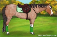 Horse Color:Bay Roan Sabino Rabicano  and Bay Roan Sabino Splash Rabicano 