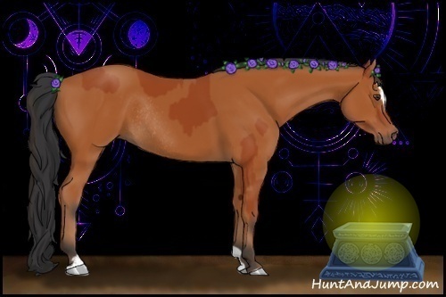 Horse Color:Bay Sabino Rabicano and Bay Sabino Rabicano