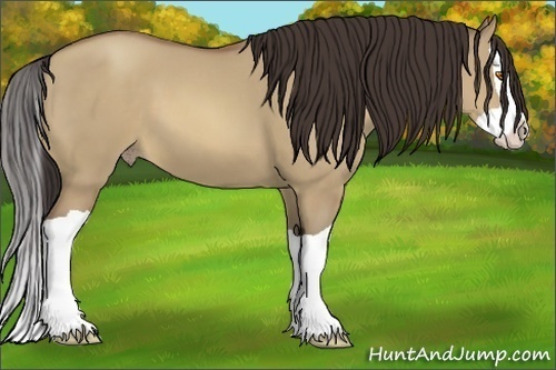 Horse Color:Sable Champagne Dun Splash 