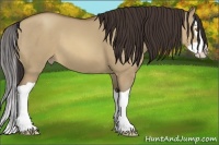 Horse Color:Sable Champagne Dun Splash 