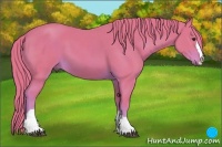 Horse Color:Watercolor Chestnut 